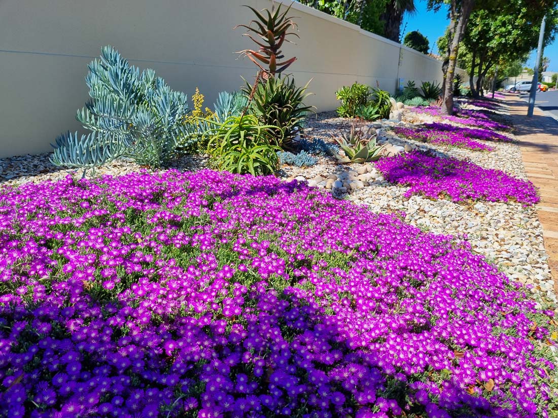 Waterwise Landscaping